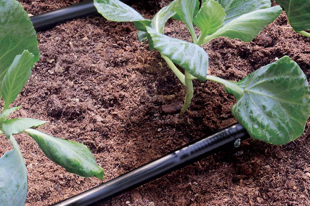 Claber Tropfrohr 1/4” - 15 m - Anwendungsbeispiel