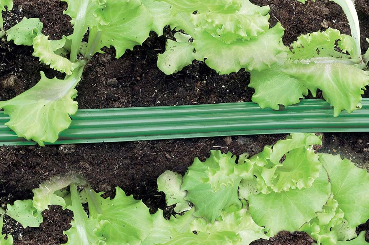 Claber Triply Schlauchregner Sprühschlauch - Anwendungsbeispiel