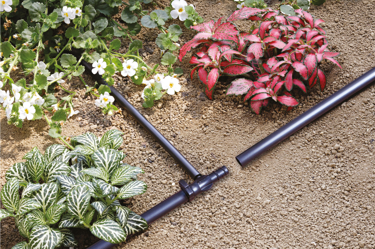 T-Steckverbinder für 16 mm PE-Rohr auf Mikroschlauch 4 x 6 mm