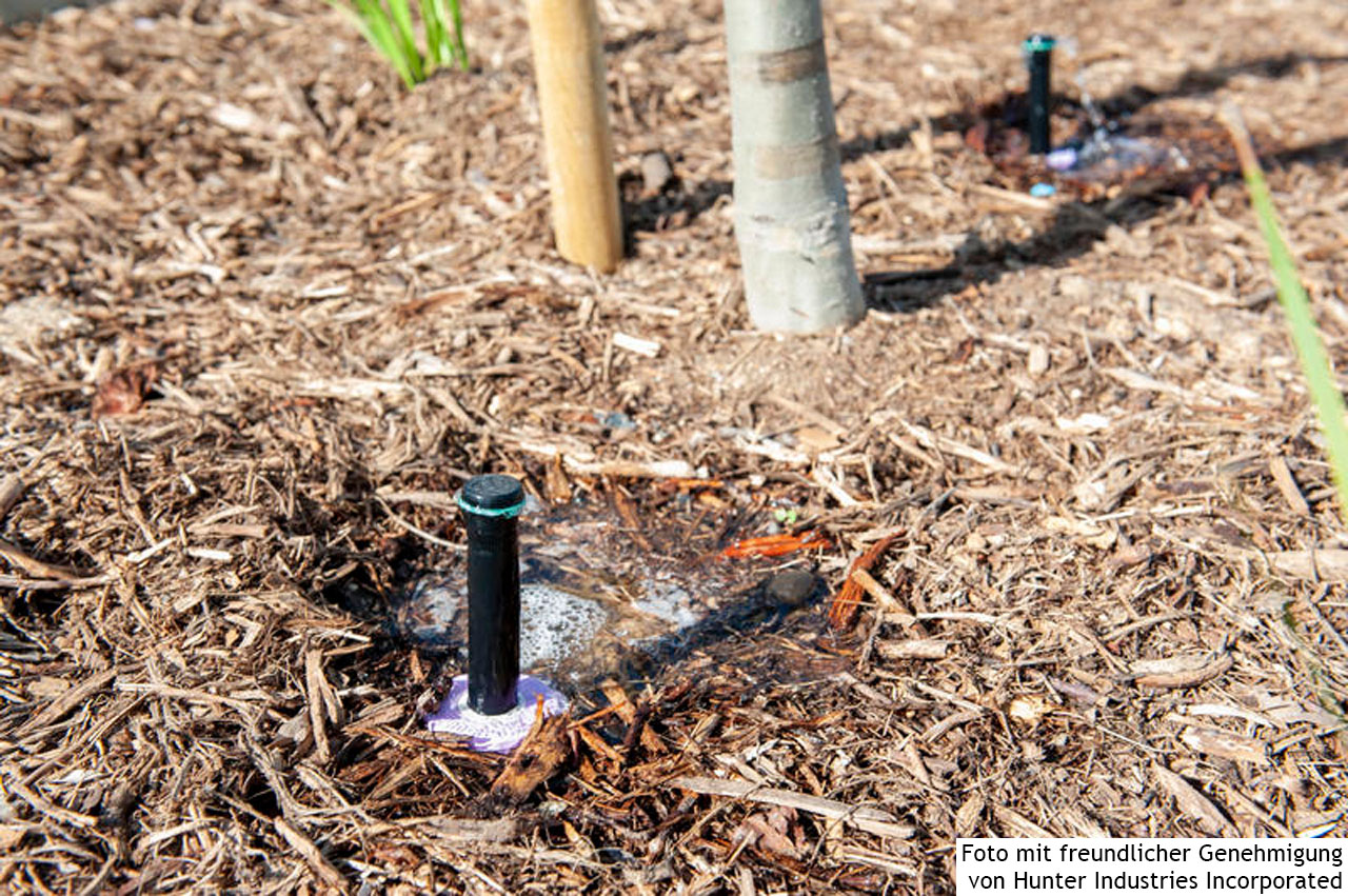 Hunter PCN Bubbler Rinnsal