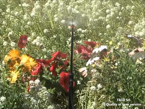 Spray-Jet einstellbar mit Erdspieß